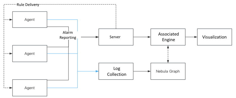 Detection principle architecture diagram
